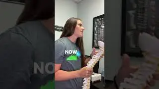 Spinal Column Picture Over Time