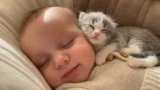 These Kittens Think Babies Are Their Beds 😴🐱 | Adorable Moments