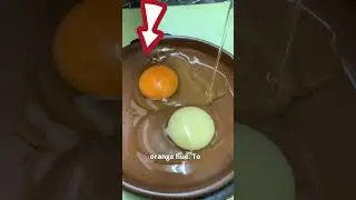Как фермеры получают белые яичные желтки
