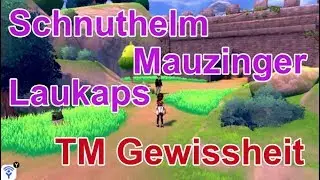 TM Gewissheit + Mauzinger, Laukaps und Schnuthelm fangen | Pokemon Schwert und Schild