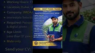 DUBAI HELPER WANT JOB VACANCY FREE REQUIREMENTS #job