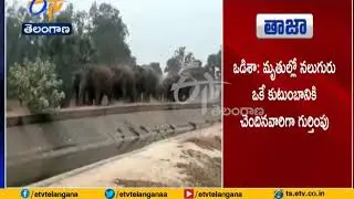 Five killed in Elephant Attack in Odisha's Angul District
