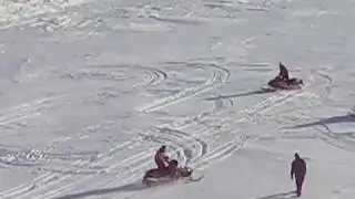 red bay sled heads