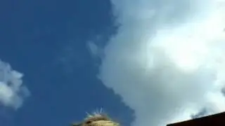 Stranger chased   me