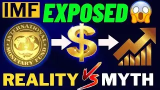 The Shocking Truth About International Monetary Fund | IMF Exposed | History Lyceum