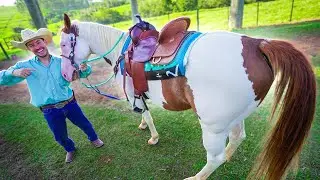 COMPREI TODOS OS ACESSÓRIOS PRO MEU CAVALO NOVO 🥰