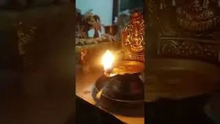 21 March 2023@Home Amavasya Small Gomata Pooja VLOG #in shorts#