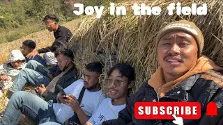 Joy in the paddy field || #picnic #worshipteam||