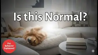 5 Dog Behaviors That Scare New Owners (But Are Totally Normal)