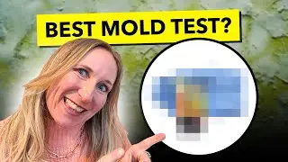 WARNING Choosing the Wrong MOLD Test Could Cost You THOUSANDS