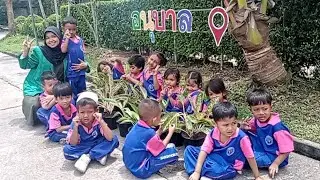 LEARN TO PLANT AGLAONEMA PLANTS WITH STUDENTS ANUBAN 2 AT SANGKHOM ISLAM WITTAYA SCHOOL