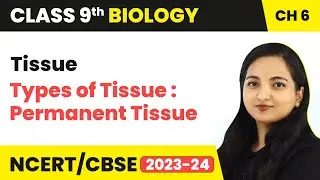 Types of Tissue : Permanent Tissue - Tissue | Class 9 Biology Chapter 6 |  (2023-24)