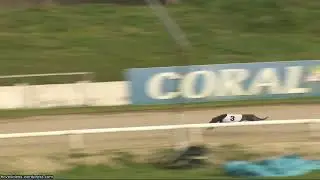 Hove Greyhound Trials 19/1/25