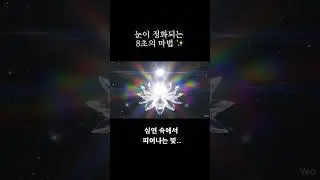 PRISM HEART: 8초 예술의 황홀경 💎