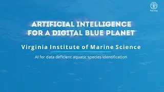 FAO AI4DBP AI for data deficient aquatic species identification (deep water sharks)