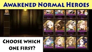 Seven Knights - Awakened Normal Hero Selector