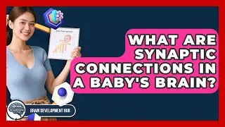 What Are Synaptic Connections In A Baby's Brain? - Brain Development Hub