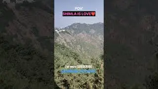 Shimla is Love| Himachal Pradesh| Safarnama Adventure| #ytshortsindia #shimla #himachaltourism