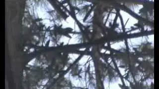Burzum - Belus' d&oslash;d (Music video)