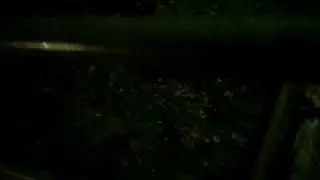 panic