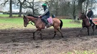 Canopus - New horse in training with Gary & Josh Moore 