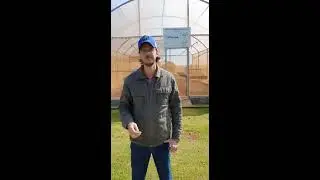 Monitoramento de Plantas Daninhas Resistentes no Paraguai