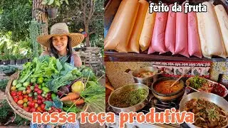 As farturas e belezas da nossa roça/ fiz geladinho de fruta/ almoço/ lavei as varandas/ comprinhas