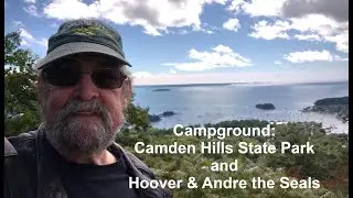 Camping at Camden Hills & Two Famous Harbor Seals - Hoover & Andre!  Campground Series