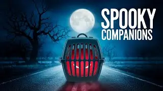 3 True Pet Horror Stories | Supernatural Stories