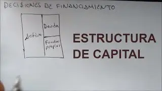 Estructura de Capital