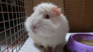 吃午餐