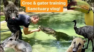 Croc & gator training, sanctuary vlog!
