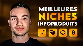 IPSP: Les Niches Infoproduits INCONTOURNABLES en 2025 (Potentiel +100k&euro;/mois)