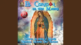 Luz de la Mañana