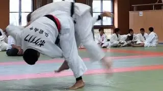 Bogdanove Style Judo is Back 9/01/2019