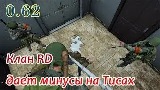 Dayz  Клан RD дает минусы на Тисах
