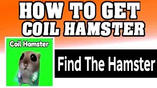 How To Get COIL HAMSTER in FIND THE HAMSTER ROBLOX [walkthrough] [UPDATE] [2026]