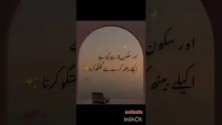 Sukoon ka asal matlab | Rab se guftgu ❤️#Sukoon#Allah #Guftgu#Imaan#HeartTouching #drd#SadiaWrites