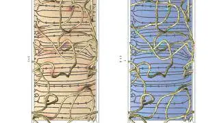 Uniaxial disclinations in nonuniform field in one elastic approximation for negative epsilon_a
