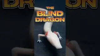 The Cave Dragon in Real Life #shorts #youtubeshorts #facts #animals