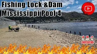 Minnesota Fishing - Lock And Dam Pool 4 Bass Fishing, Extra Long Video (5-1-24)