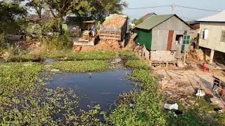 PERFECT Opening New PROJECT Landfill On The Flooded Area Complete by 5-T Dump Truck & Dozer Komat'su