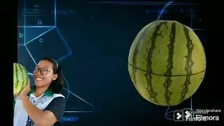Elliptic Geometry (Watermelon Model)