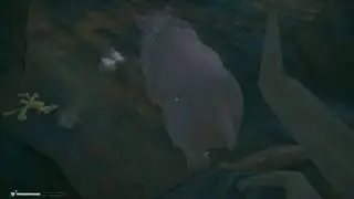 The Long Dark: Wintermute - Old Bear Attacks (Bug)