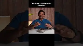 Why Nutrient Density in Dog Food Matters | Feed Smarter, Not More #dogfood #bestdogfood #dog