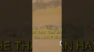 Patience is a key