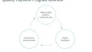 What is the Quality Payment Program?
