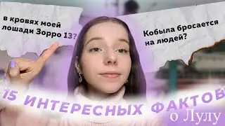 15 интересных ФАКТОВ о МОЕЙ ЛОШАДИ 💜