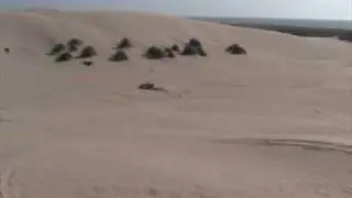 Oregon Sand Buggy