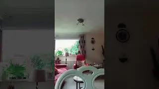 Dance Dance dance